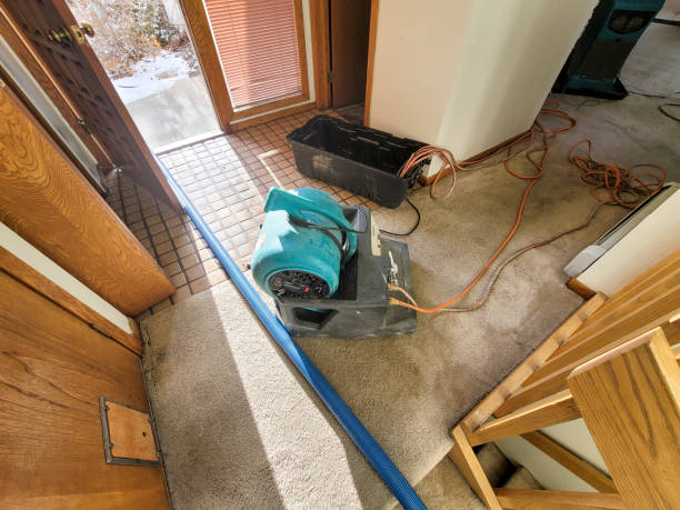 Best Local water damage restoration  in East Chicago, IN