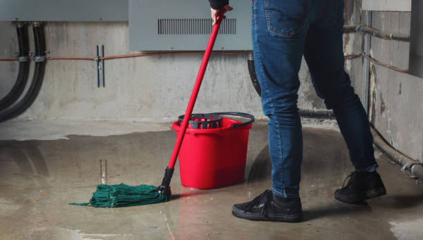 Best Mold removal after water damage  in East Chicago, IN