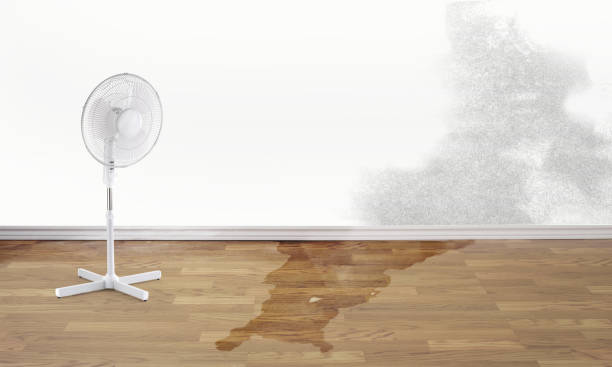 Best Flood restoration services  in East Chicago, IN