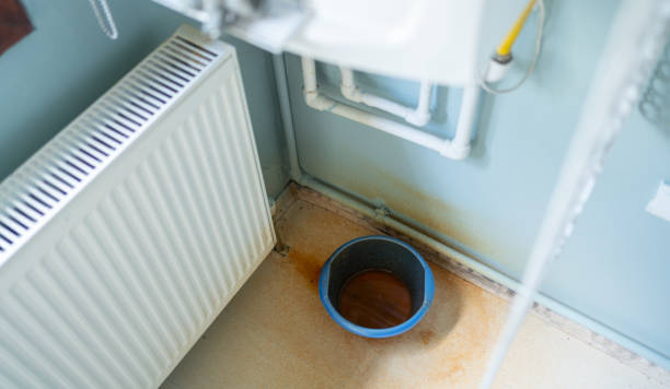 Best Water damage contractors near me  in East Chicago, IN