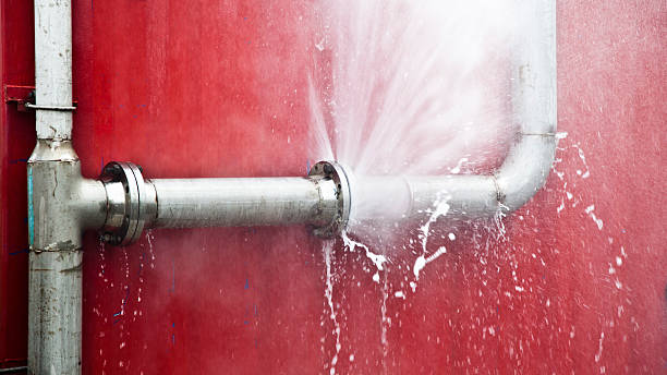 Best Ceiling water damage repair  in East Chicago, IN