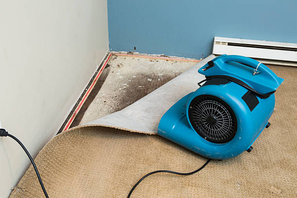 Best Water damage mitigation services  in East Chicago, IN